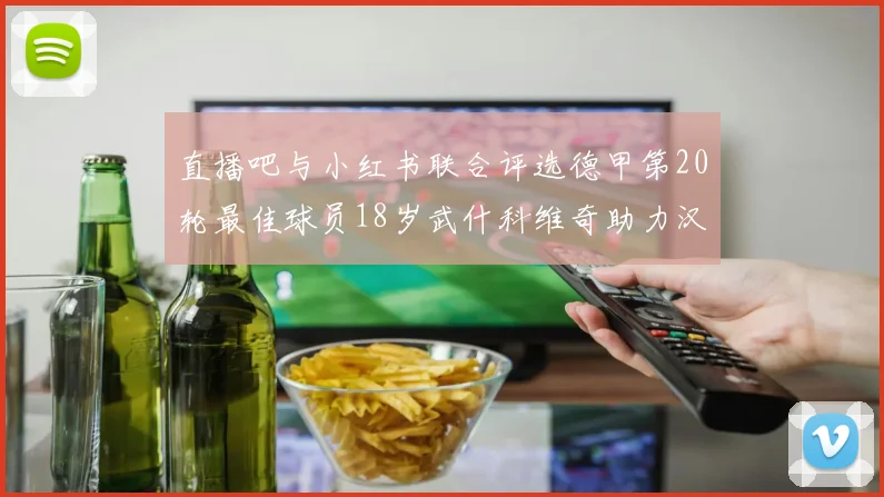 直播吧与小红书联合评选德甲第20轮最佳球员18岁武什科维奇助力汉堡逼平拜仁