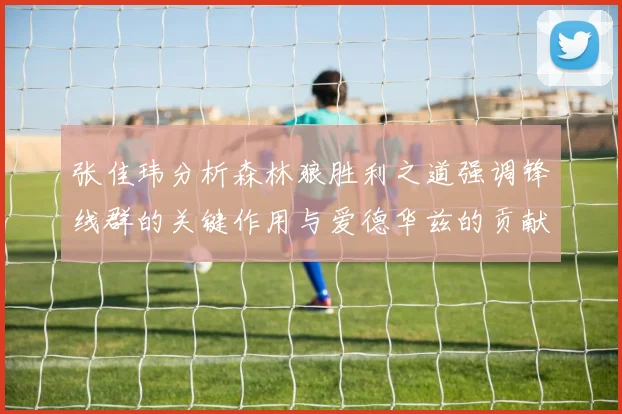 张佳玮分析森林狼胜利之道强调锋线群的关键作用与爱德华兹的贡献