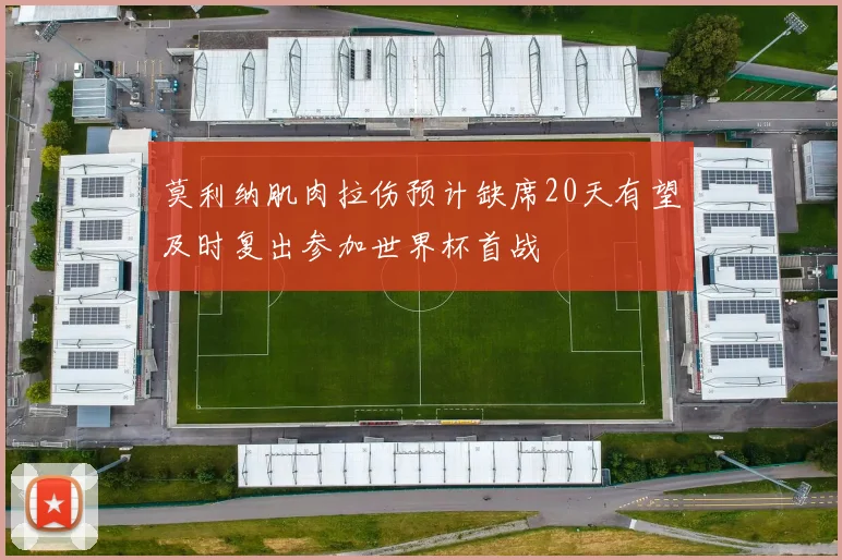 莫利纳肌肉拉伤预计缺席20天有望及时复出参加世界杯首战